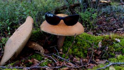 post-4220-0-36526500-1409128690_thumb.jp