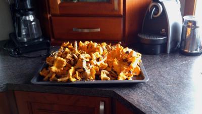 post-4220-0-60868800-1409138243_thumb.jp