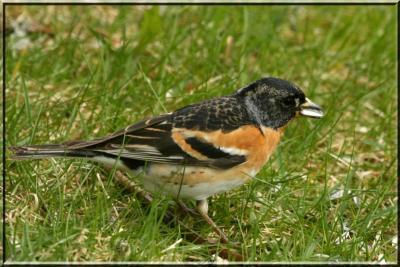 post-4220-0-80027700-1408709163_thumb.jp