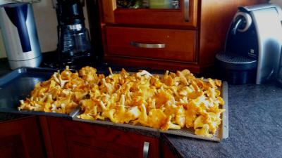 post-4220-0-97745400-1409145823_thumb.jp