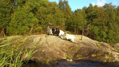 post-4220-0-98955800-1409128816_thumb.jp