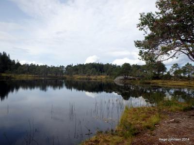 post-4444-0-97472500-1408289363_thumb.jp