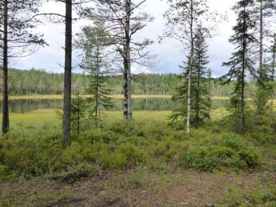 post-6295-0-06838400-1408986826_thumb.jp