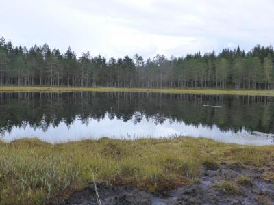 post-6295-0-40050200-1408986906_thumb.jp