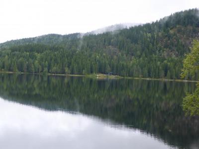 post-6295-0-61597900-1408986774_thumb.jp