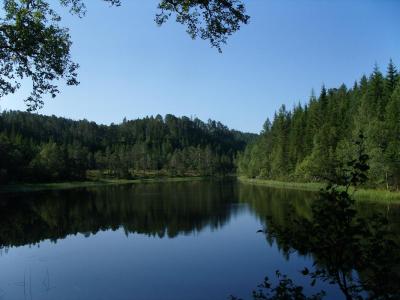 post-6789-0-78857900-1407576217_thumb.jp