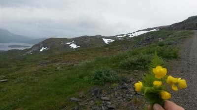 post-10401-0-67856200-1439136407_thumb.j