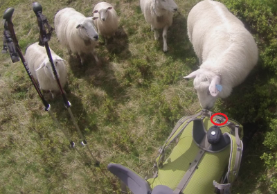 post-10964-0-01839900-1438552319_thumb.p