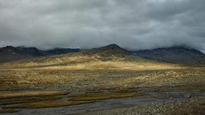 post-12127-0-80923000-1440856442_thumb.j