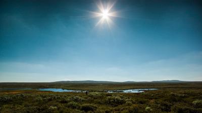 post-12278-0-04461100-1440921786_thumb.j