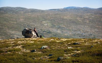 post-12278-0-14486800-1440921749_thumb.j