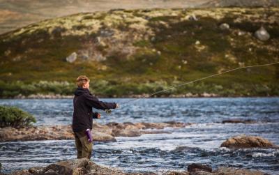 post-12278-0-15648300-1440923855_thumb.j