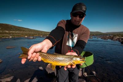 post-12278-0-20608700-1440921900_thumb.j