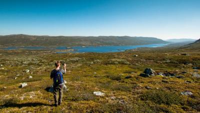 post-12278-0-31322200-1440921730_thumb.j