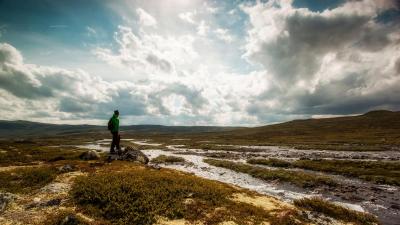 post-12278-0-64698900-1440921610_thumb.j