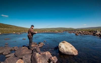 post-12278-0-66335900-1440921896_thumb.j