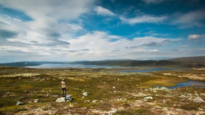 post-12278-0-75523800-1440921691_thumb.j