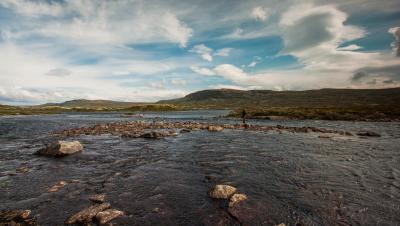 post-12278-0-88355500-1440923851_thumb.j