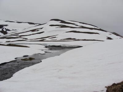 post-14687-0-84303200-1439821602_thumb.j