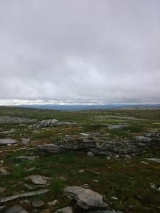 post-14911-0-97274800-1438724231_thumb.j