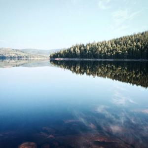 post-15172-0-17036000-1440262219_thumb.j