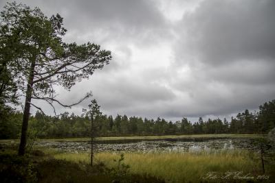 post-15860-0-24898600-1440616306_thumb.j