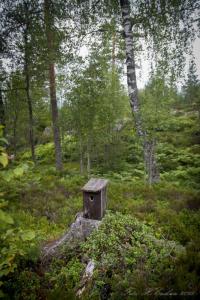 post-15860-0-70337400-1440616275_thumb.j