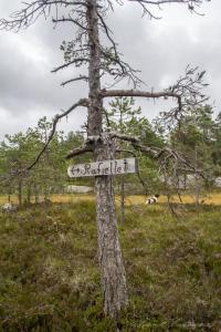 post-15860-0-74013400-1440616302_thumb.j