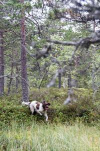 post-15860-0-77945300-1440616288_thumb.j