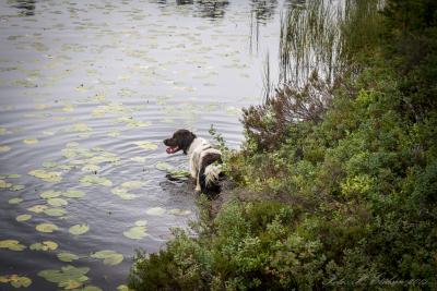 post-15860-0-85816600-1440616296_thumb.j