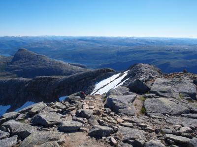 post-16230-0-94440100-1438770767_thumb.j