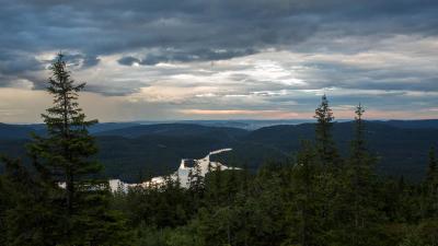 post-16598-0-02167600-1438512094_thumb.j