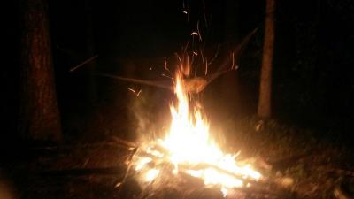 post-16828-0-21767100-1439816081_thumb.j