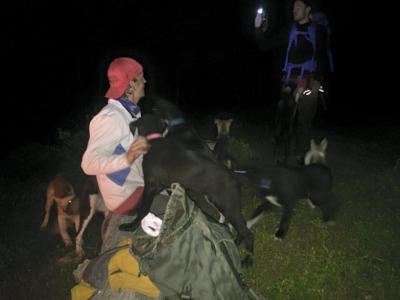 post-16828-0-58960500-1439815619_thumb.j