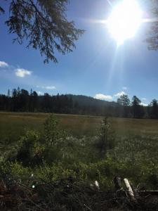 post-16828-0-67857200-1439815938_thumb.j