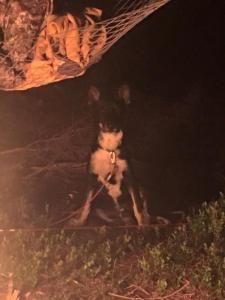 post-16828-0-68616300-1439815782_thumb.j