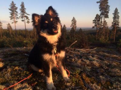 post-17977-0-08320800-1438616642_thumb.j