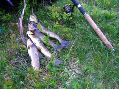 post-4220-0-27841300-1440696918_thumb.jp