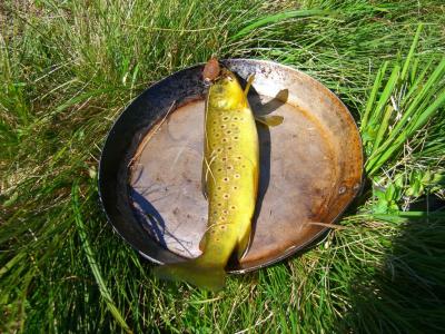 post-4220-0-28055300-1439720911_thumb.jp