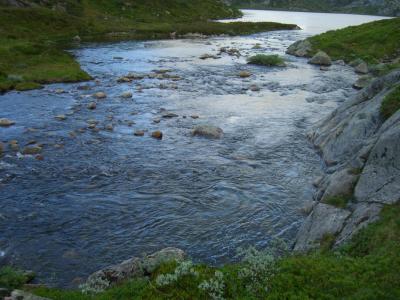 post-4220-0-71279800-1440696398_thumb.jp