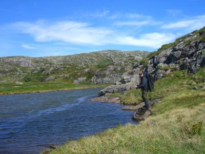 post-4220-0-75342800-1440696525_thumb.jp