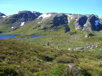 post-4220-0-84193700-1440696422_thumb.jp