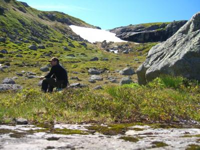 post-4220-0-84415000-1439720993_thumb.jp