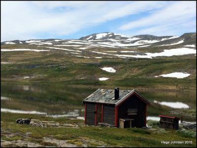 post-4444-0-27203900-1438454520_thumb.jp