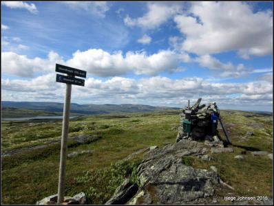 post-4444-0-69343900-1439146015_thumb.jp