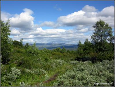 post-4444-0-78482100-1439145943_thumb.jp