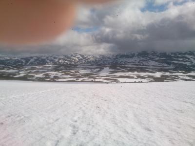 post-5481-0-33950100-1438612334_thumb.jp