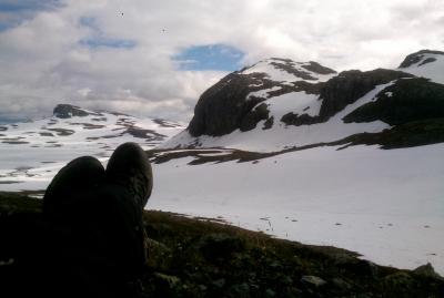 post-5481-0-46673600-1438612386_thumb.jp