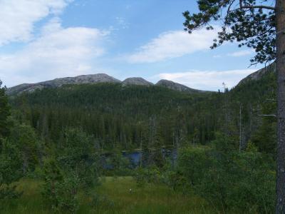 post-6789-0-31530900-1438721386_thumb.jp