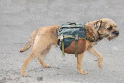 post-7299-0-02064100-1440658614_thumb.jp